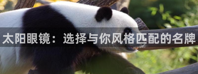 玩jdb有什么技巧