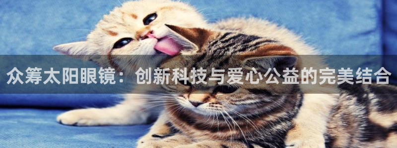 jdb电子游戏源码