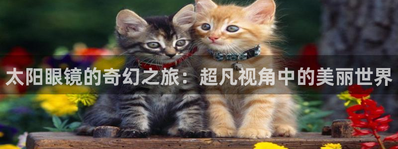jdb是什么平台