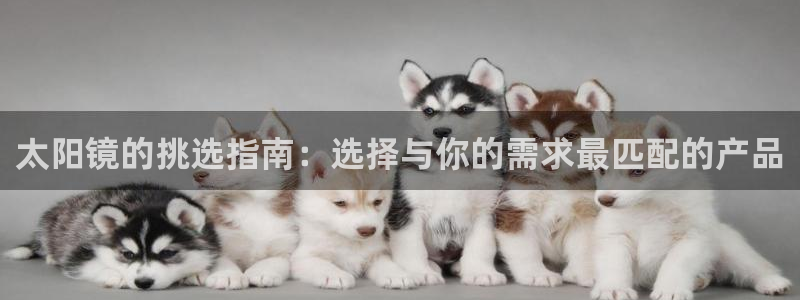 jdb电子飞鸟派对游戏