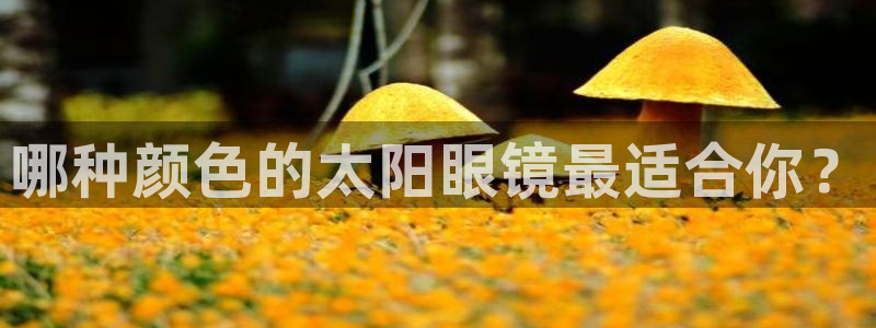 jdb电子试玩平台官网版