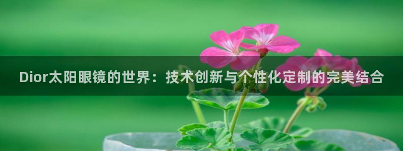 Jdb电子试玩