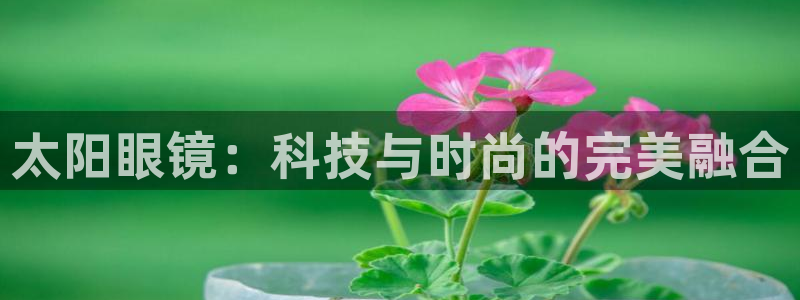 jdb电子游戏辅助器