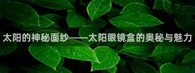 jdb游戏是什么意思
