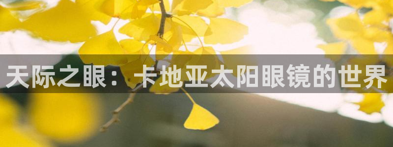 jdb电子变脸破解