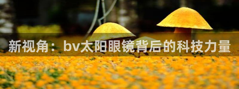 jdb开运夺宝攻略