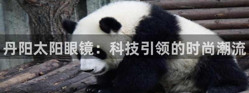 jdb飞鸟派对压分技巧贴吧