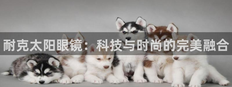 jdb平台官网
