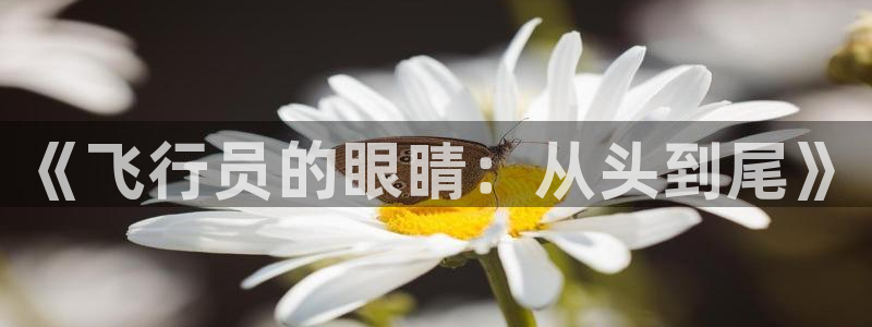 jdb电子飞鸟派对高倍技巧