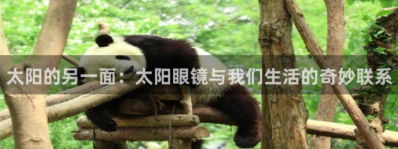 jdb什么游戏容易爆大奖