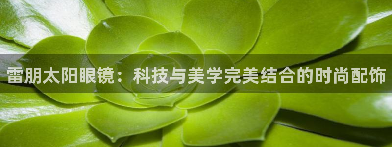 JDB电子夺宝组件下载