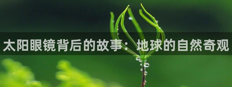 jdb电子什么游戏好玩