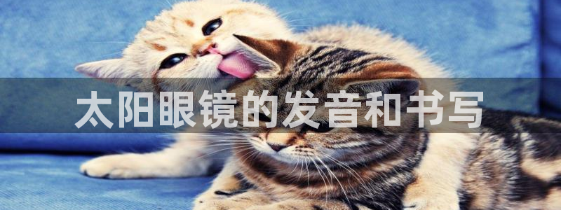 JDB电子游戏飞鸟派对宝箱