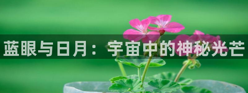 JDB游戏视频