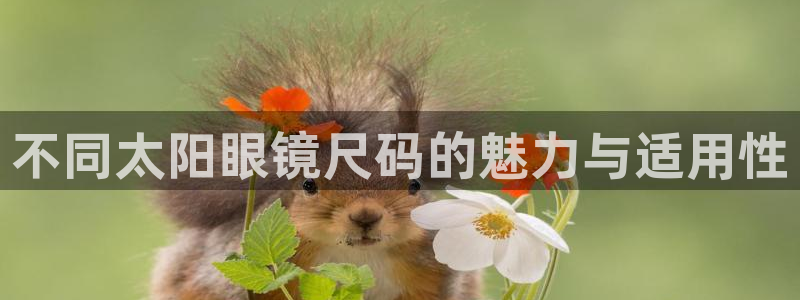 jdb电子app有信誉