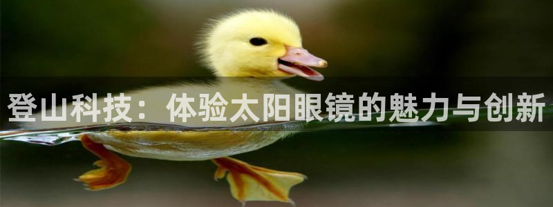 jdb电子游戏哪个容易赢