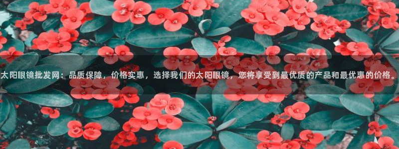 电子jdb游戏