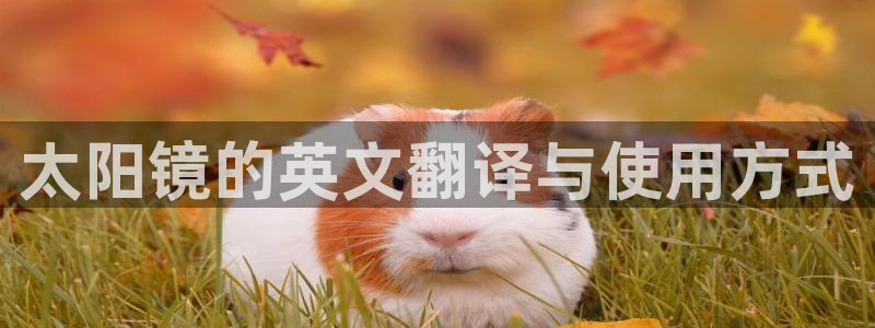 jdb游戏公司