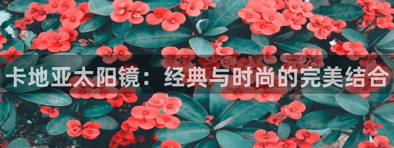jdb电子试玩平台