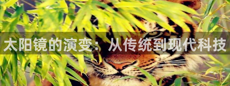 JDB电子游戏大奖视频
