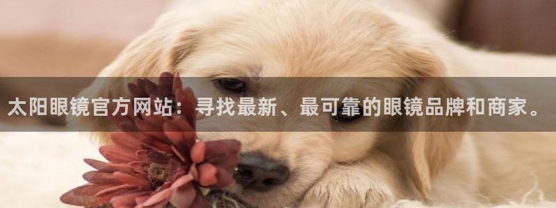 jdb电子试玩