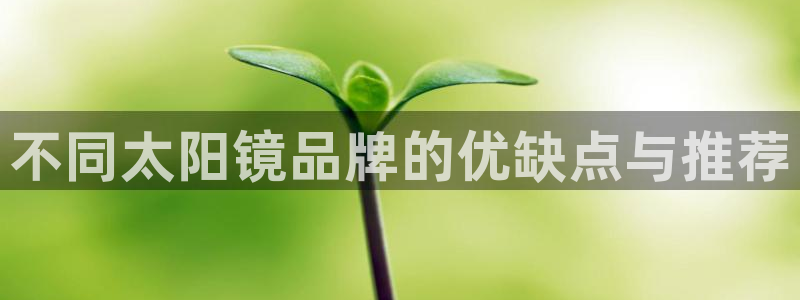 jdb电子平台台湾黑熊