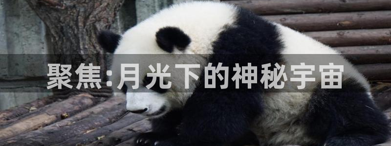 jdb电子官网网站