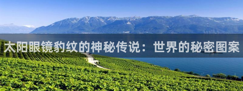 jdb夺宝游戏中奖视频