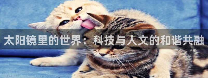 JDB平台临时维护