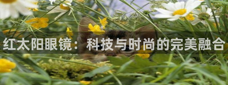 JDB五龙捕鱼平台尙11yb tv捕