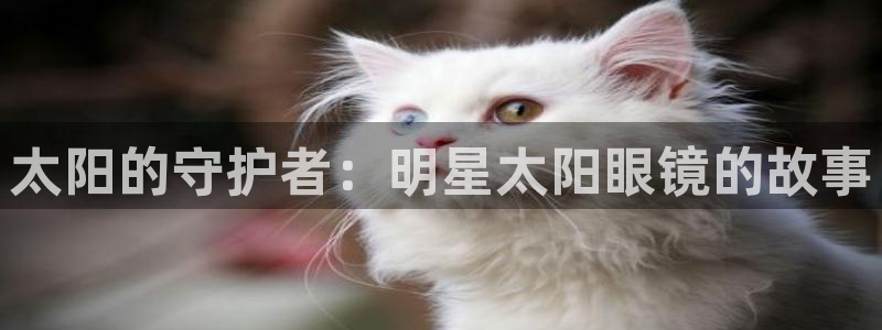 jdb台湾黑熊破解