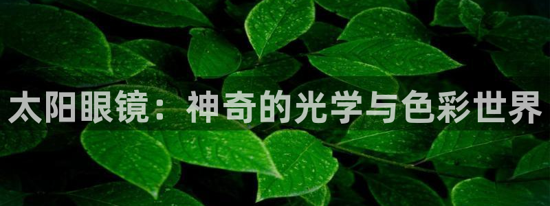 jdb电子富豪哥怎么玩