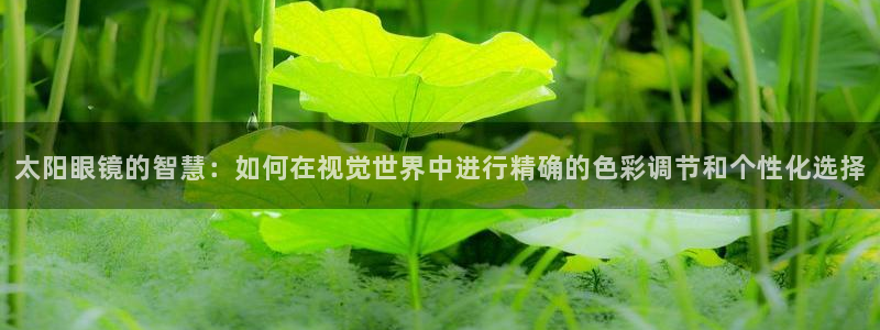 JDB电子哪个好赢钱